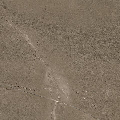 Coliseum Фьямма 610010002696