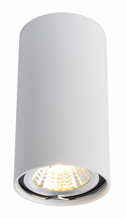 Светильник накладной Arte Lamp Unix A1516PL-1WH