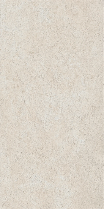 Керамогранит Italon Fossil 610010004082 120x60 см