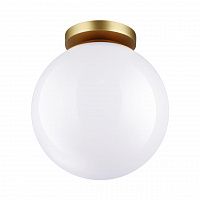 Odeon Light Bosco 4248/1C