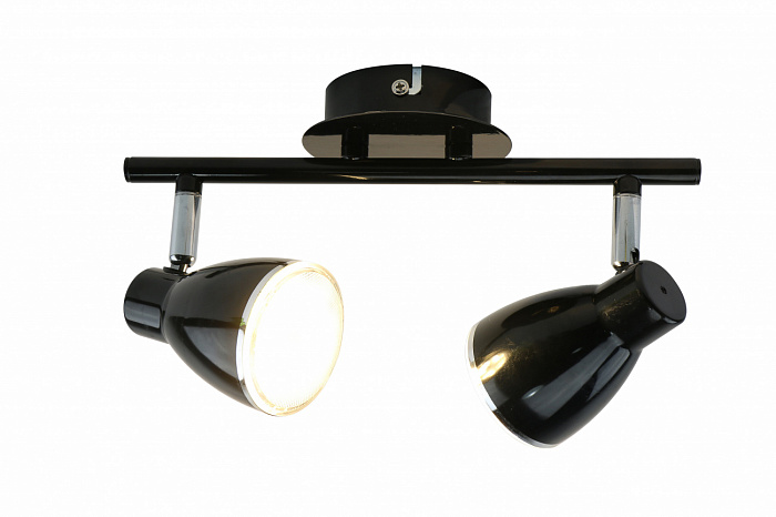 Спот светодиодный Arte Lamp A6008PL-2BK