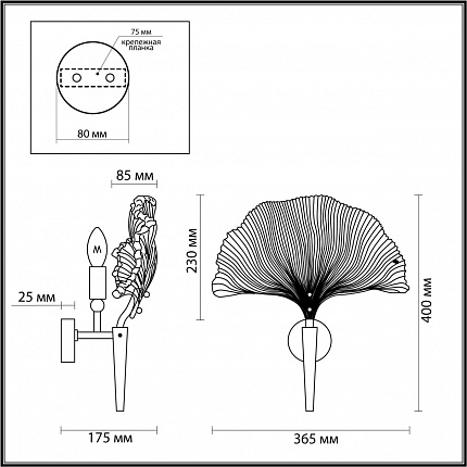 Настенный светильник ODEON LIGHT VENTAGLIO 4870/1W HALL