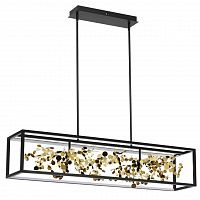 Odeon Light Bild 5065/65L