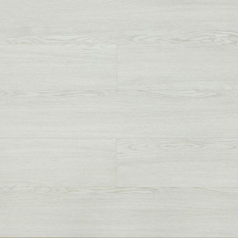Betta SPC Suite SU1201